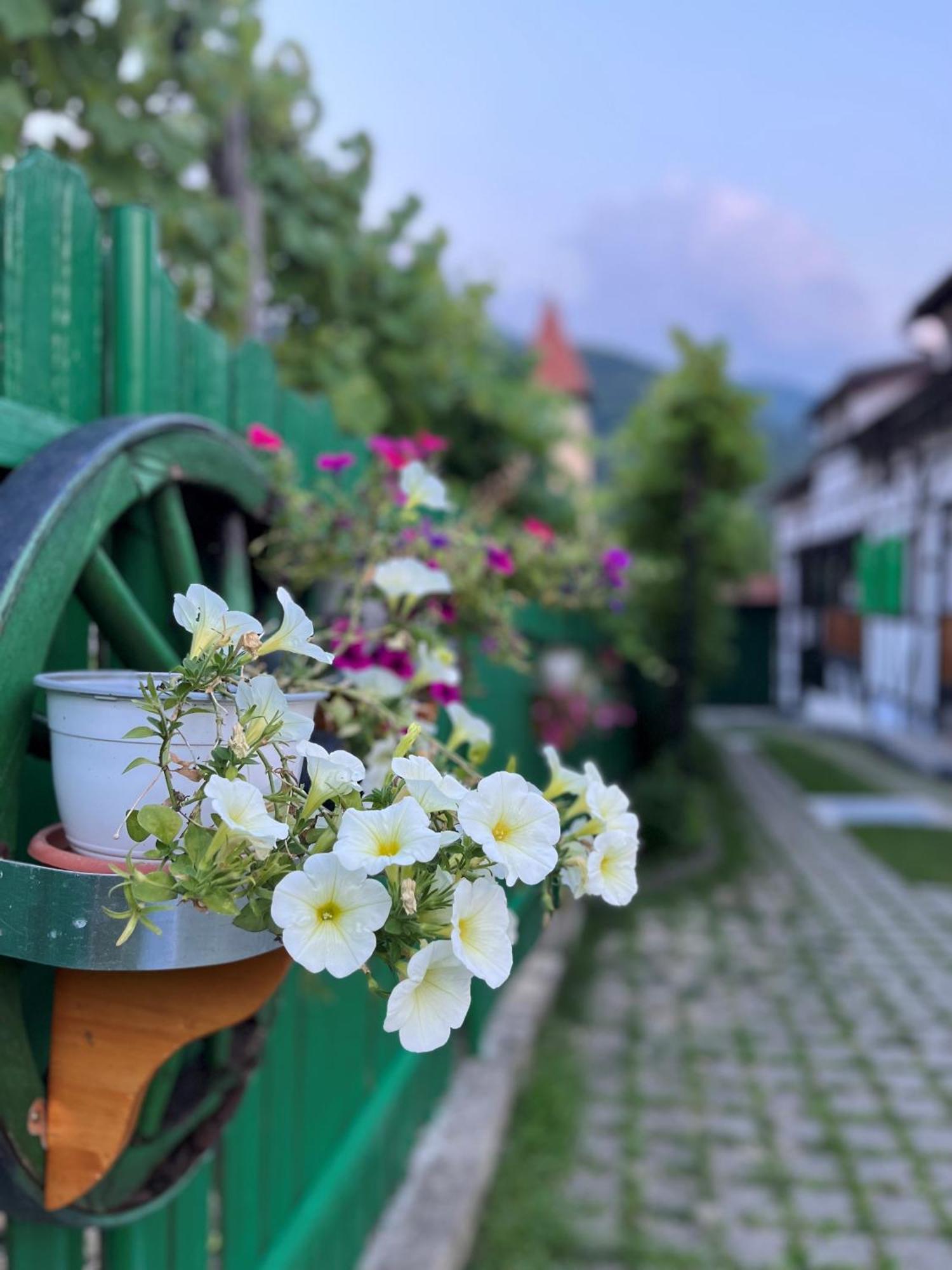 Pensiunea Gasthof Michelsberg Екстериор снимка